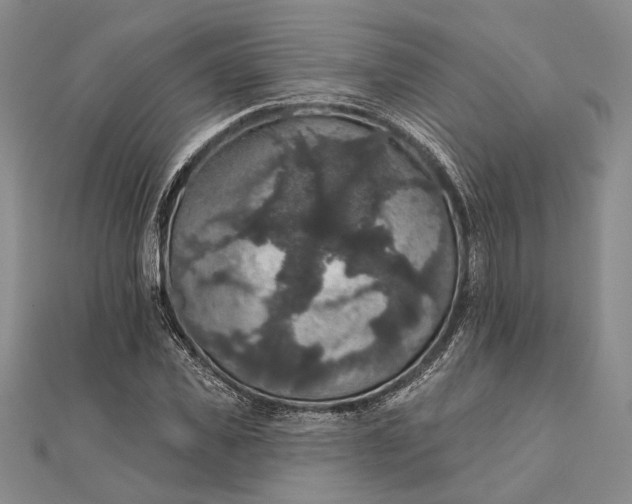 X0000111910925200908101157