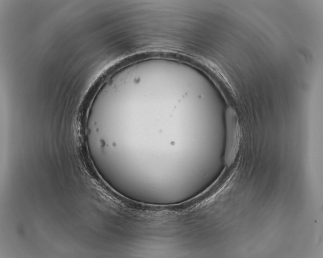 X0000111910926200908101157