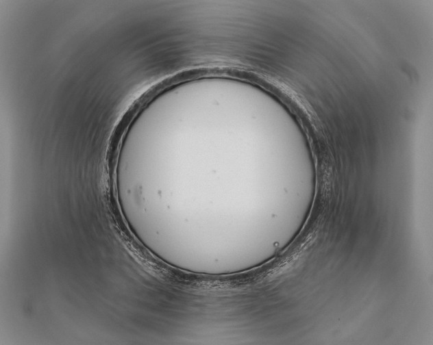 X0000111910927200908101157