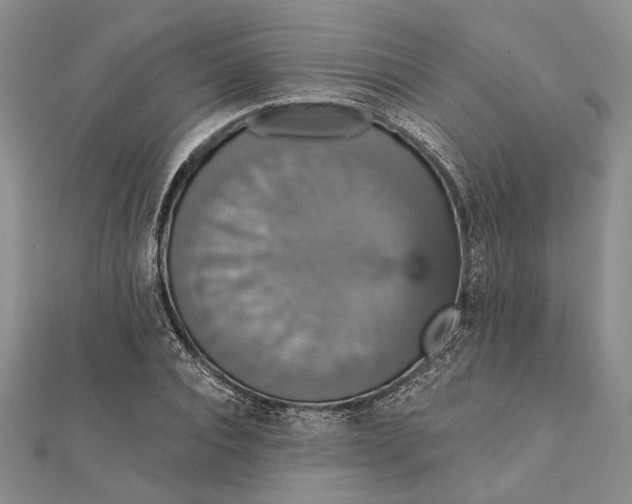 X0000111910928200908101157