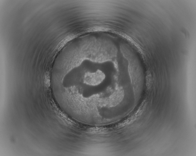 X0000111910929200908101157