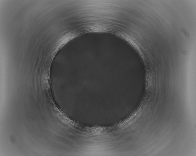 X0000111910930200908101157