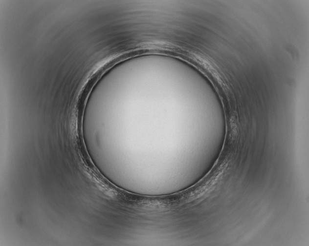 X0000111910931200908101157