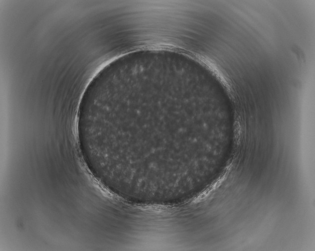 X0000111910932200908101157