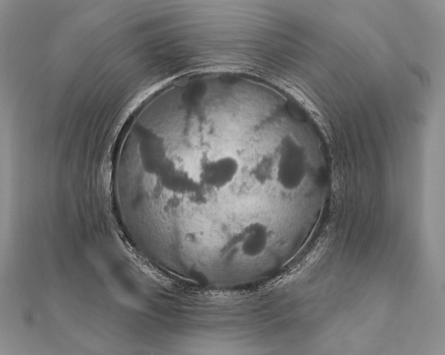 X0000111910933200908101157