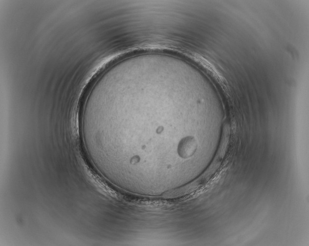 X0000111910934200908101157