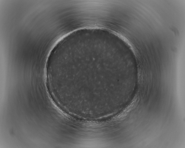 X0000111910935200908101158