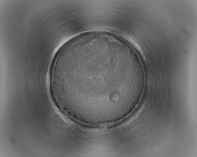 X0000111910936200908101158