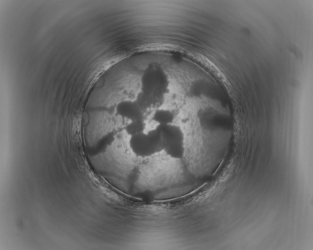 X0000111910937200908101158