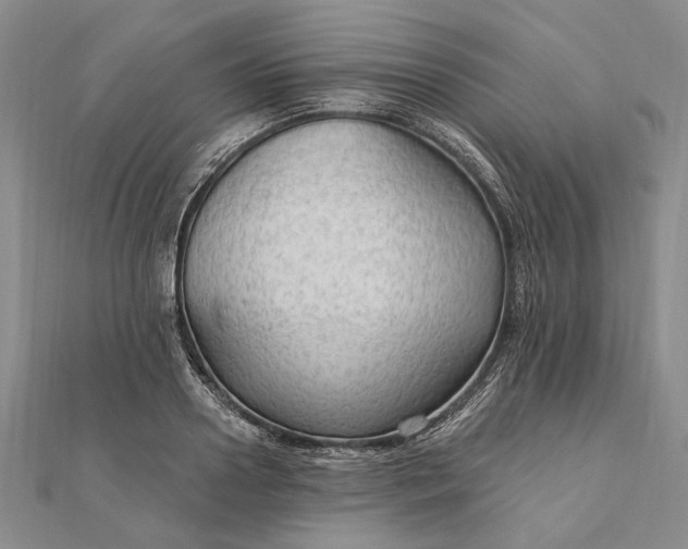 X0000111910938200908101158