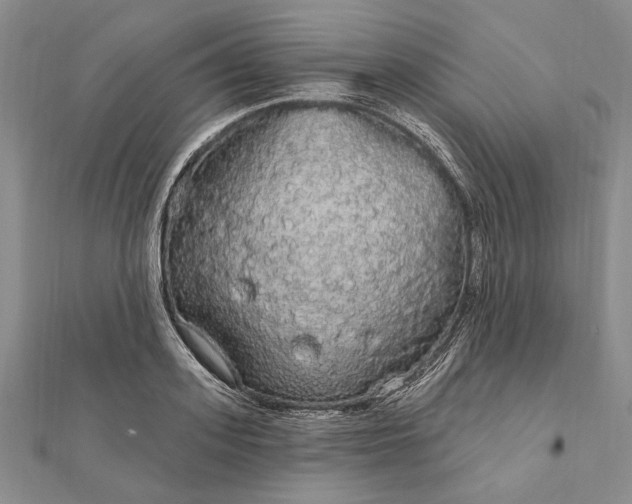 X0000111910939200908101158