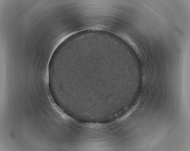 X0000111910940200908101158