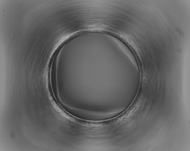 X0000111910941200908101158