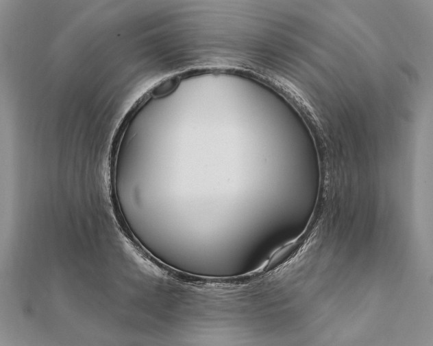 X0000111910942200908101158