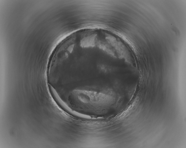 X0000111910943200908101158