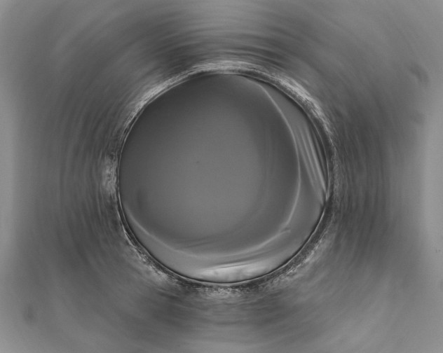 X0000111910945200908101158