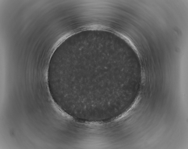 X0000111910946200908101158