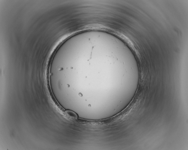 X0000111910947200908101158