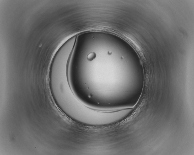 X0000111910948200908101158