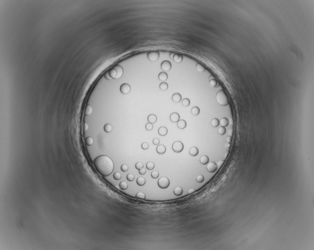 X0000111910949200908101158