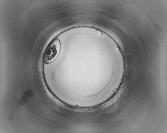 X0000111910950200908101158