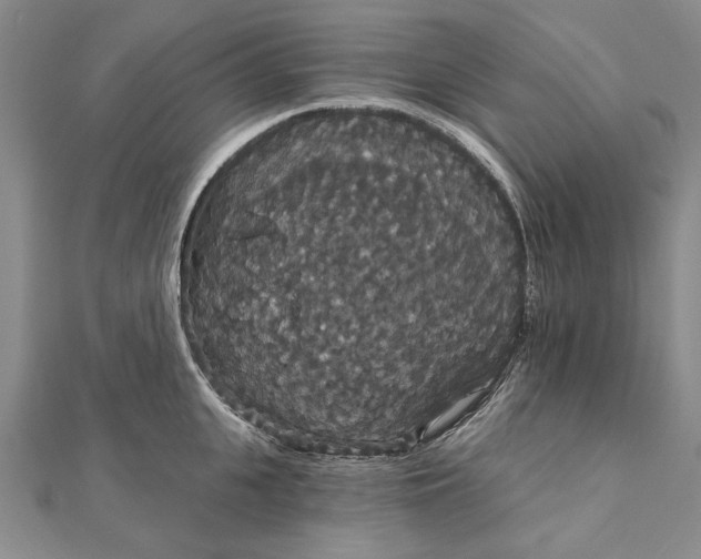 X0000111910951200908101158