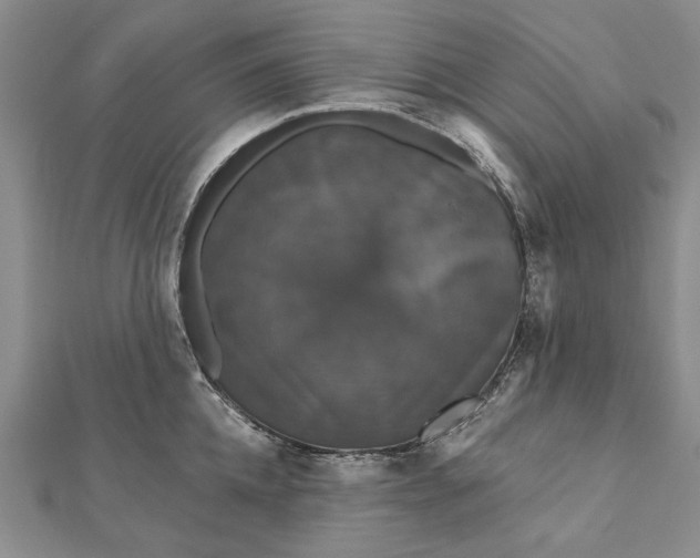 X0000111910952200908101158