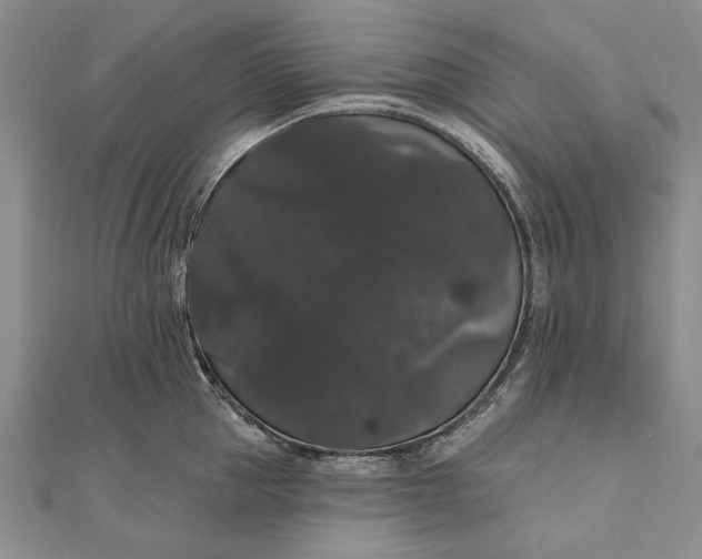 X0000111910953200908101158