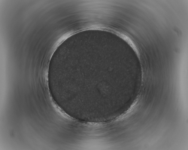 X0000111910954200908101158