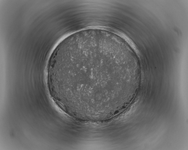 X0000111910955200908101158