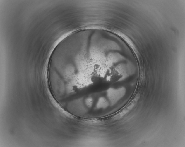 X0000111910957200908101158