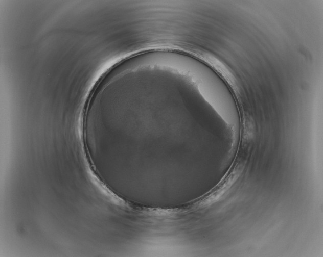 X0000111910958200908101158