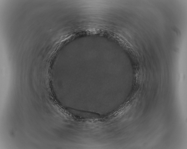 X0000111910961200908101157