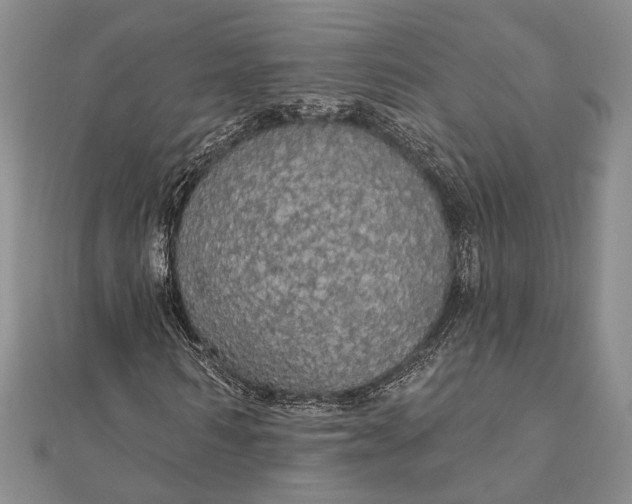 X0000111910962200908101157