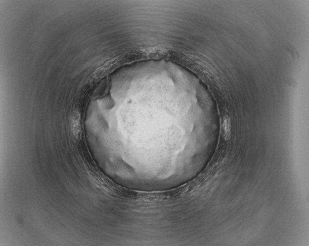 X0000111910963200908101157