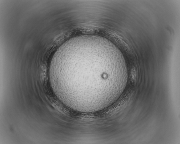 X0000111910964200908101157