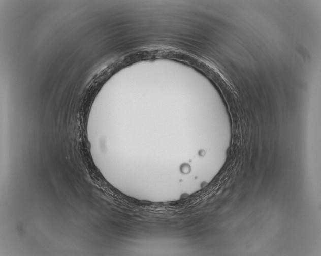 X0000111910967200908101157