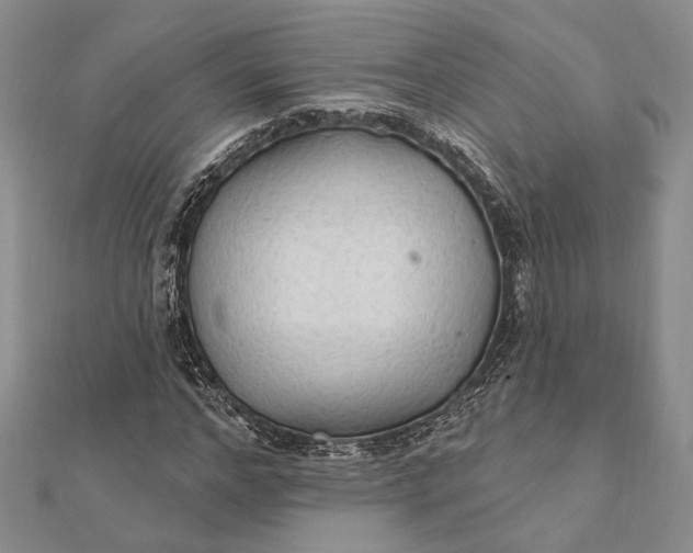 X0000111910968200908101157