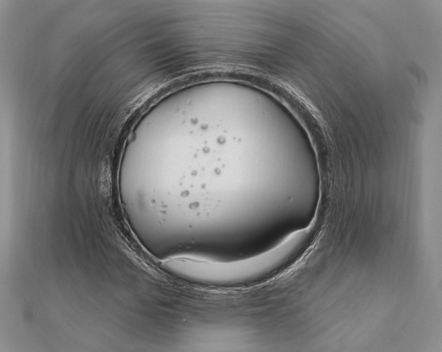 X0000111910969200908101157