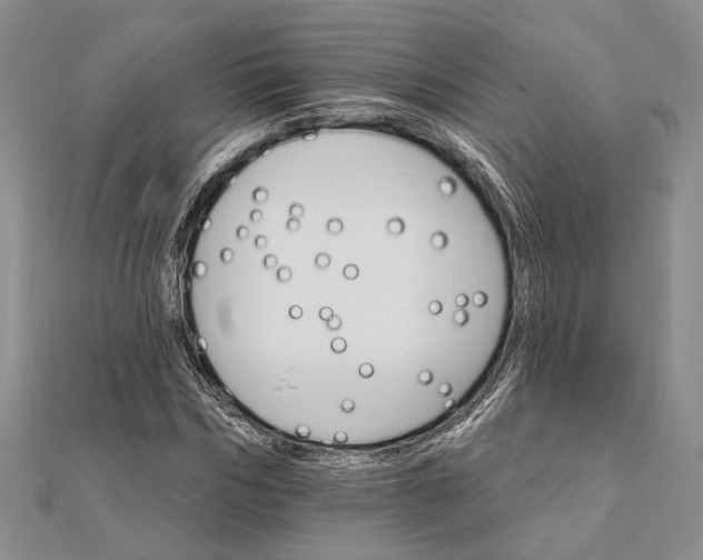 X0000111910970200908101157