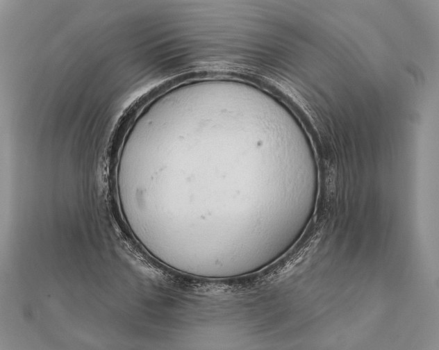 X0000111910971200908101157