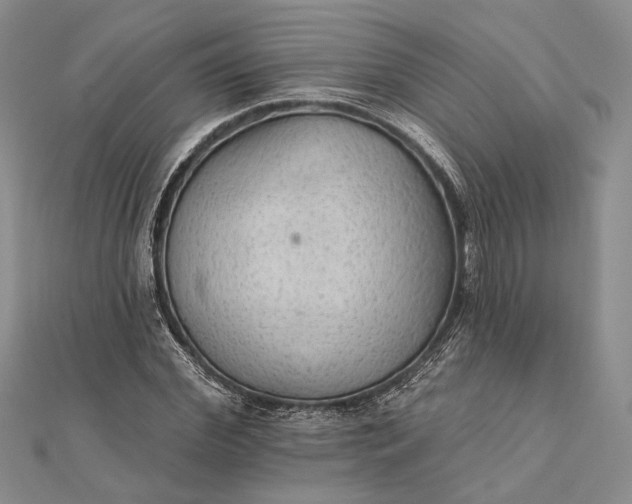 X0000111910972200908101157