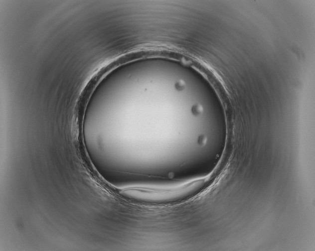 X0000111910973200908101157