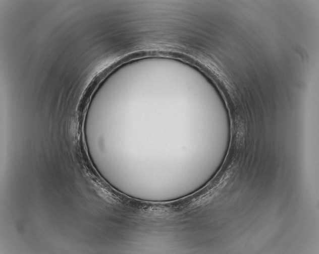 X0000111910974200908101157