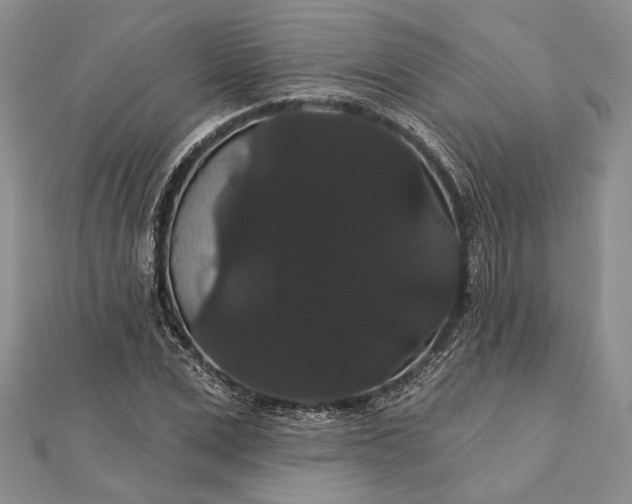 X0000111910975200908101157