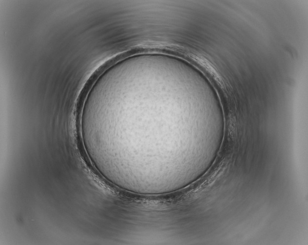 X0000111910976200908101157