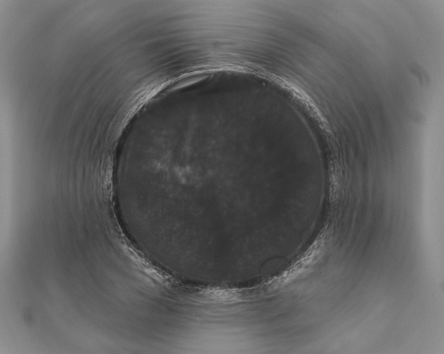 X0000111910977200908101157