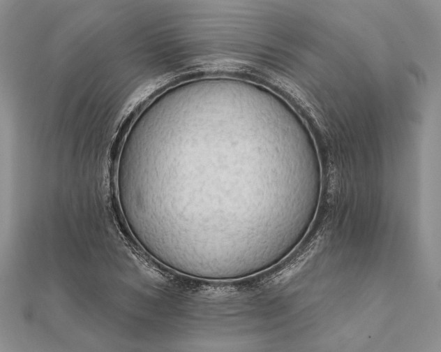 X0000111910978200908101157