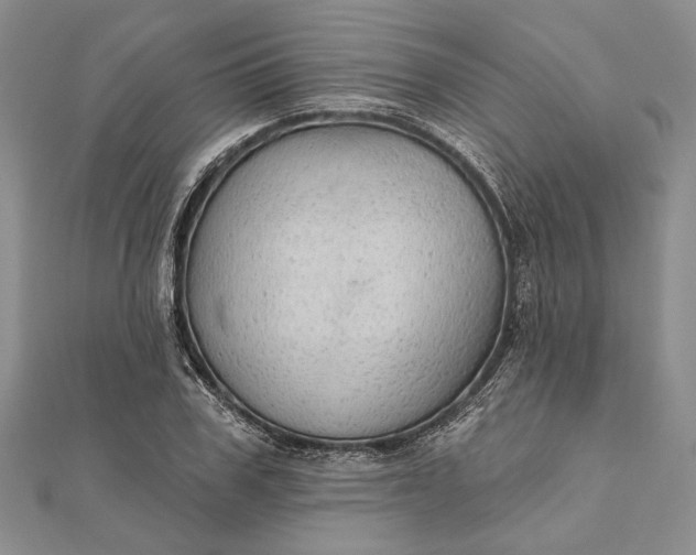 X0000111910979200908101157