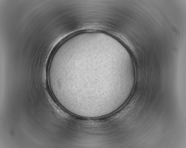 X0000111910980200908101157